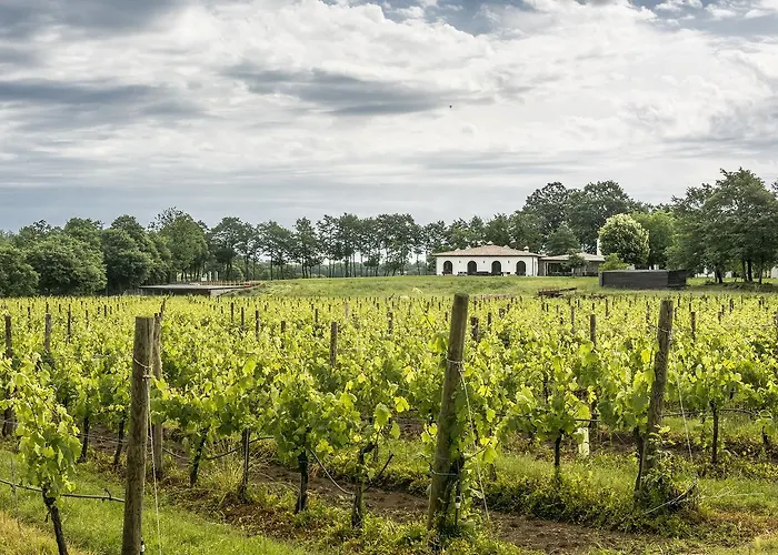 Borgo La Chiaracia & Otel