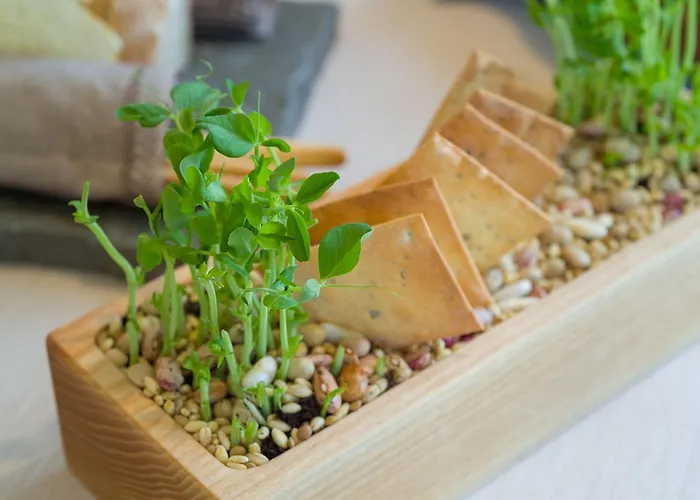 Borgo La Chiaracia & 5*